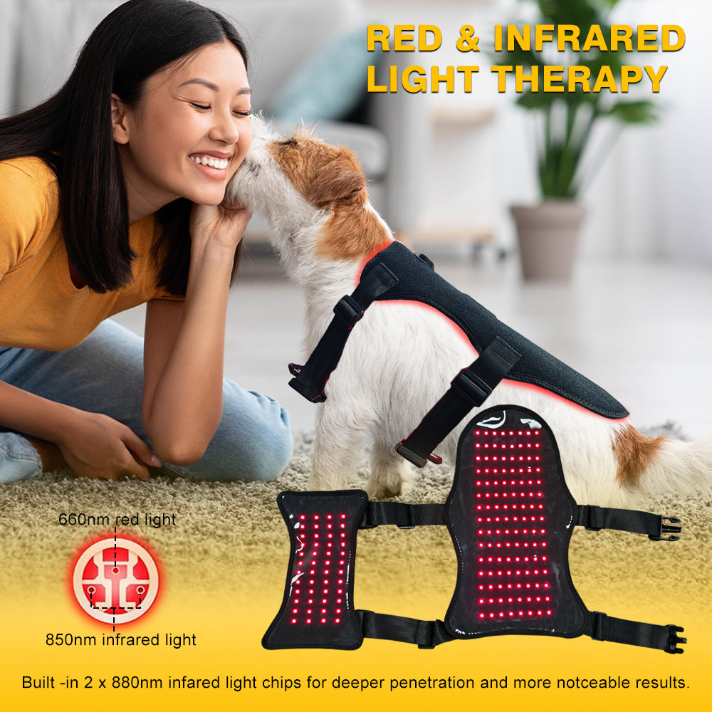 Ceinture de traitement de lumière rouge pour les chats et les chiens