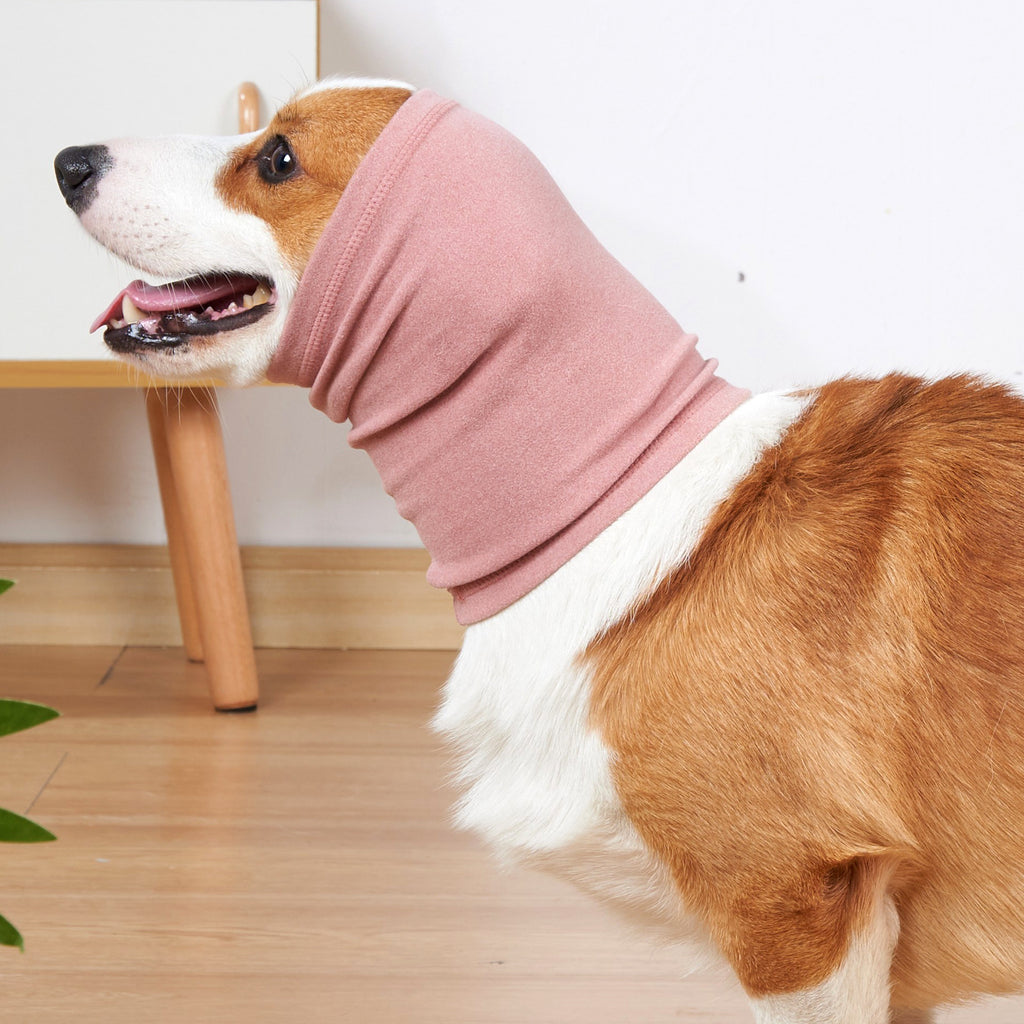 Lapin-fleece chien de chien confort et écharpe chaude