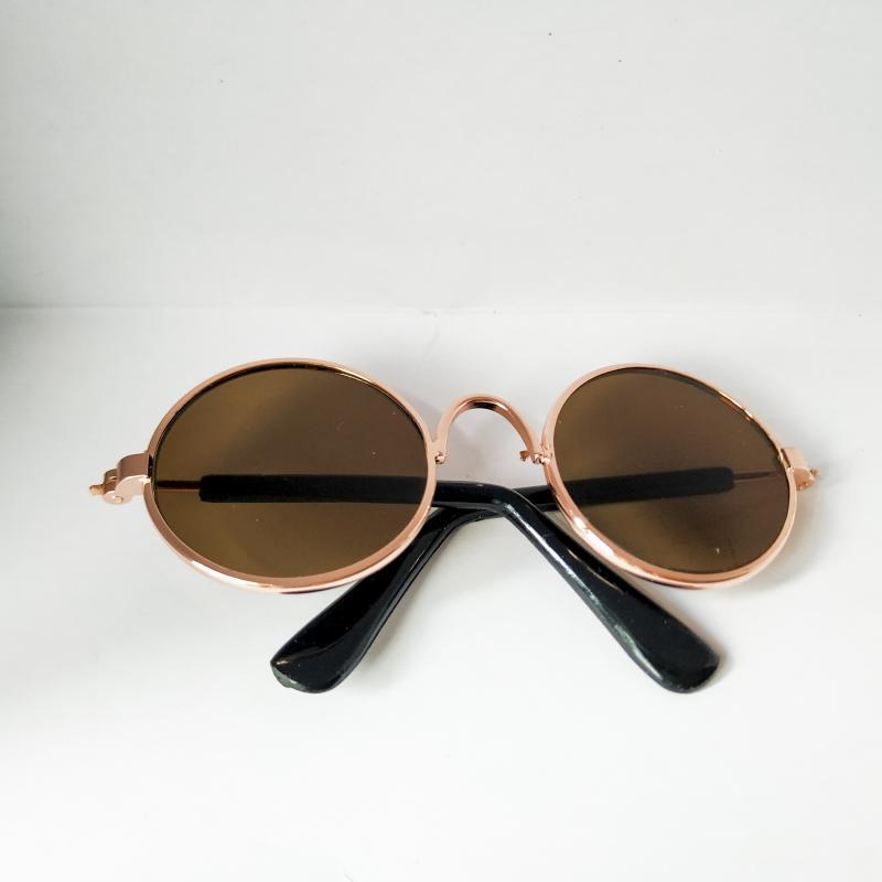 Lunettes de soleil pour chats