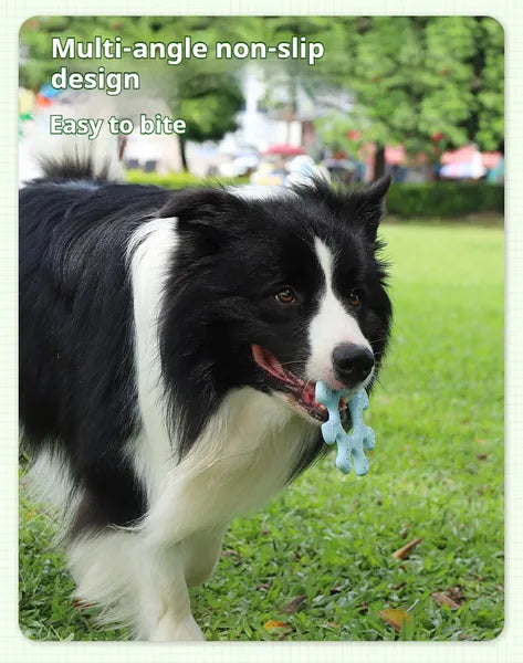 Interactive Flying Pet