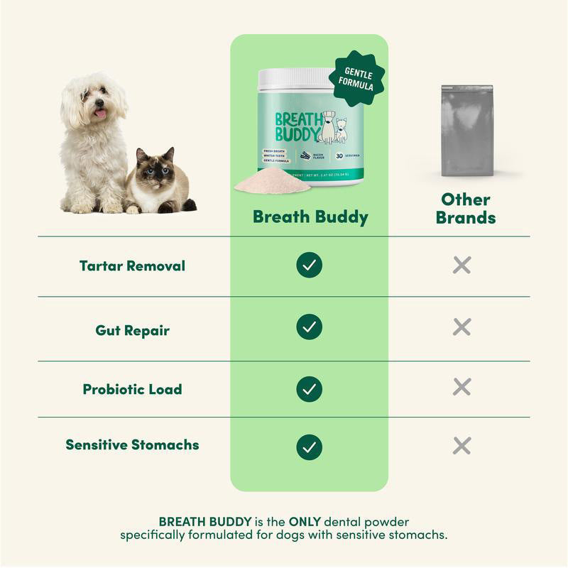 Animaux de compagnie Soins buccodentaires Poudre de nettoyage des dents