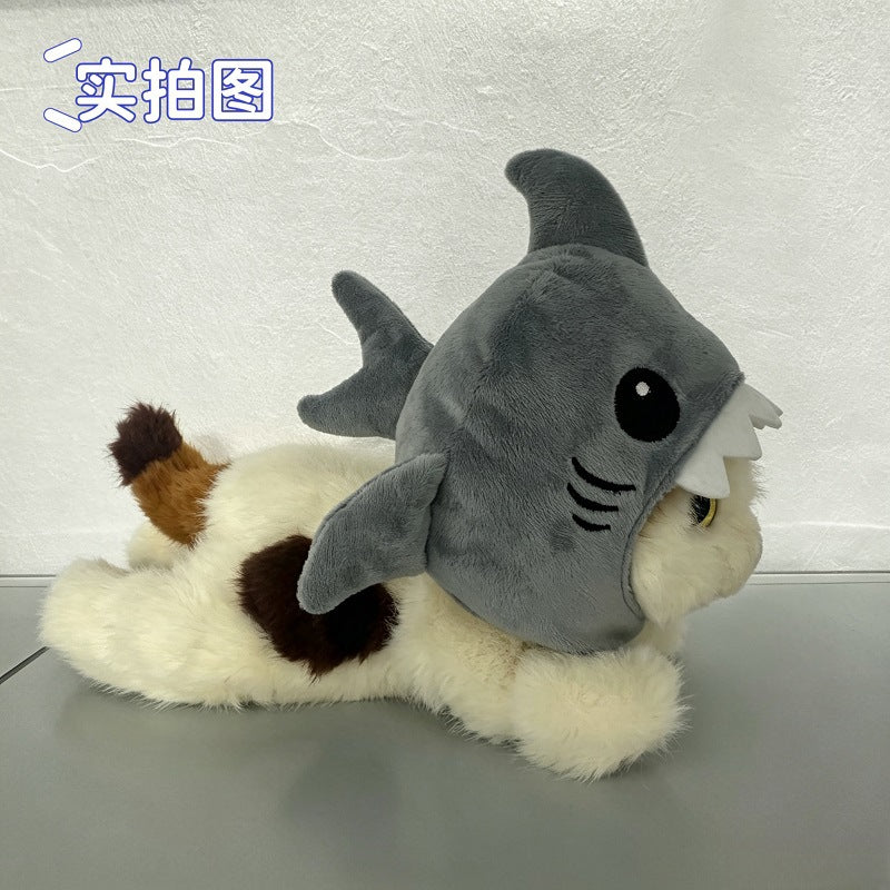 Tête de requin-chat chaud