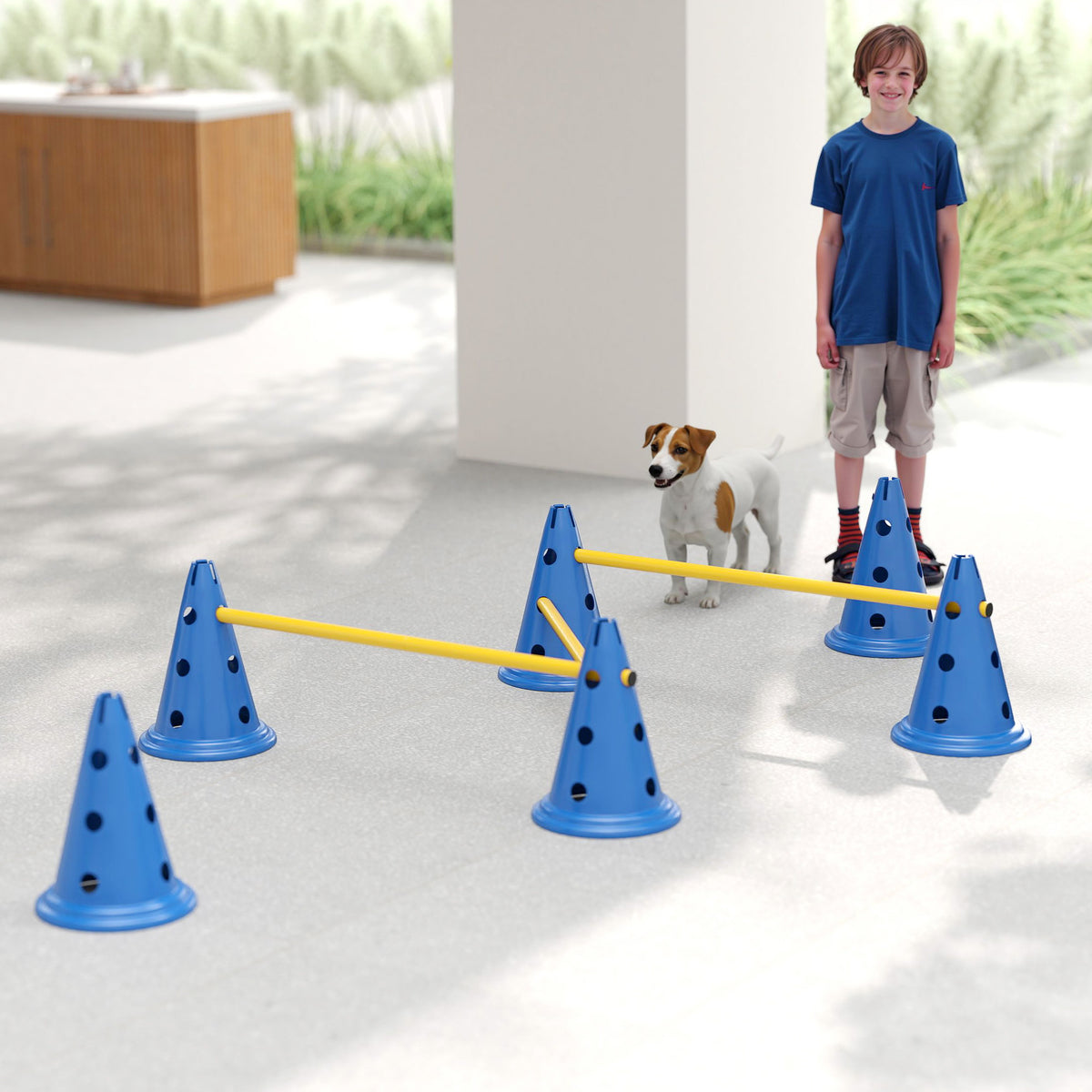 Ensemble d'équipement d'agilité de chien de six cônes