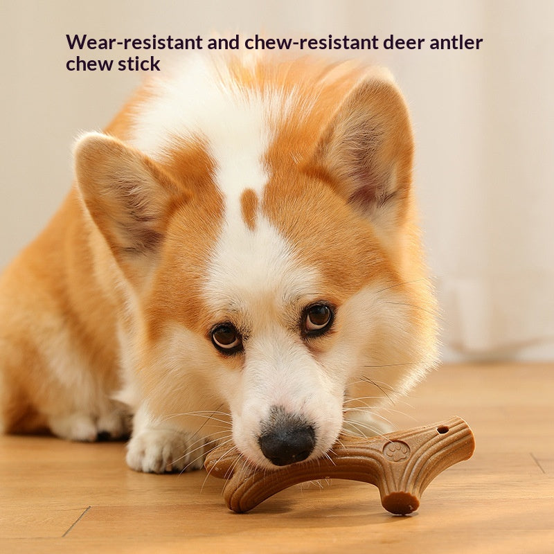 Animaux de compagnie Jouet Chien Bone-résistant au nettoyage des dents en bois de pin naturel