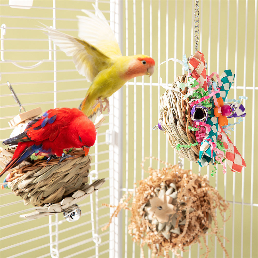 Accessoires de jouets pour oiseaux de perroquet