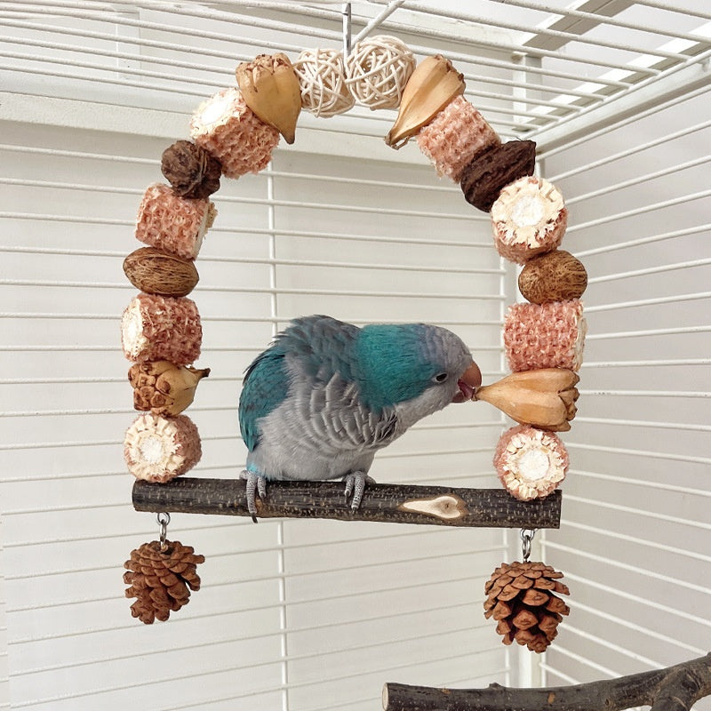 Jouets perchés en bois pour perroquets en bois