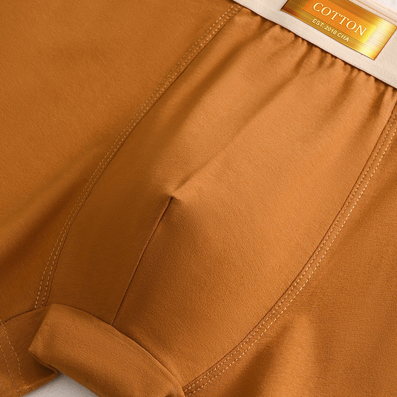 Slip de boxeur respirant en coton athlétique pour hommes