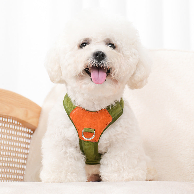Harnais retro pour chien tenant la main