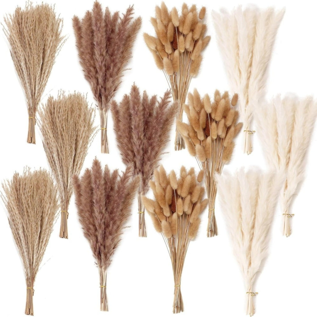 Ensemble de bouquets de fleurs séchées 300 pièces