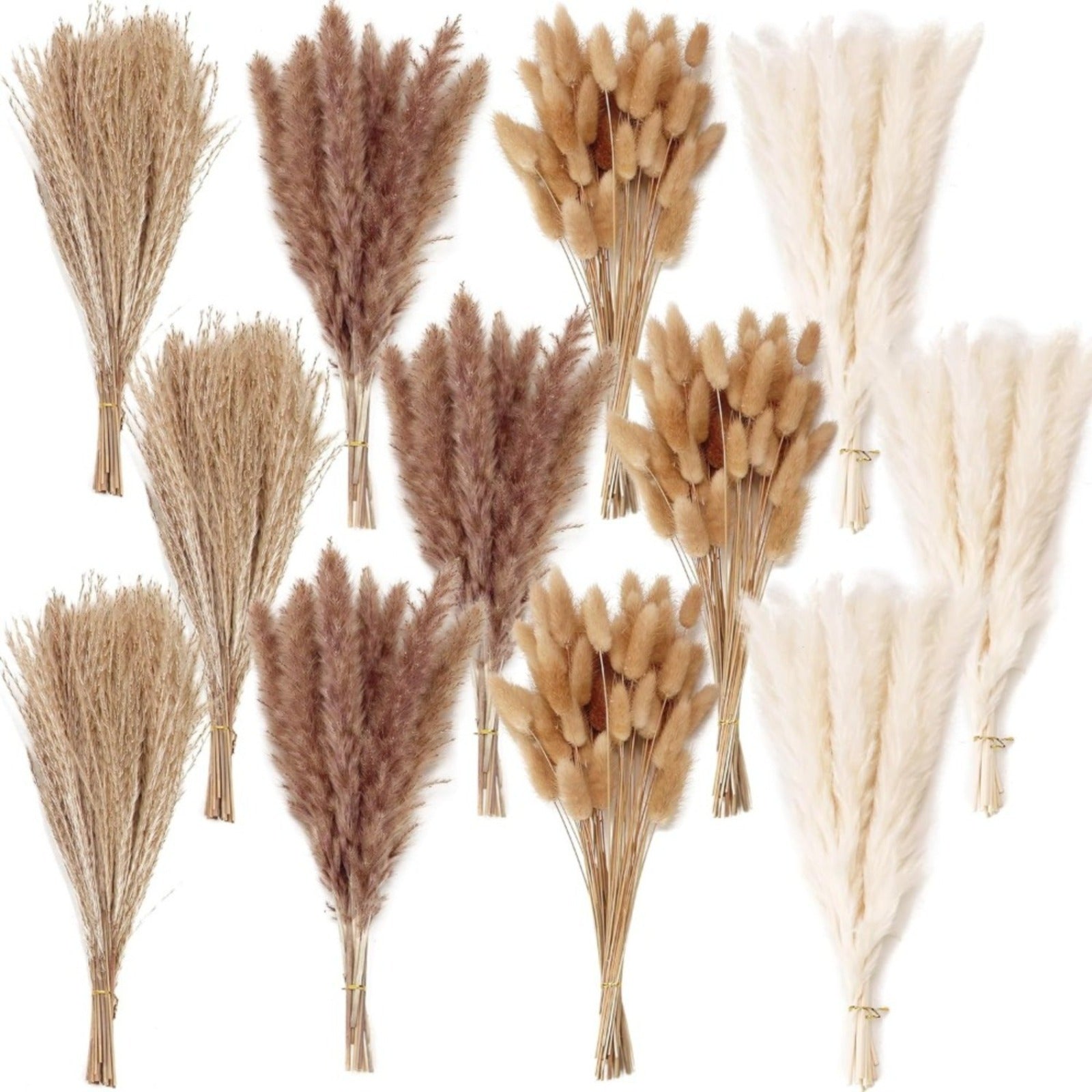 Ensemble de bouquets de fleurs séchées 300 pièces
