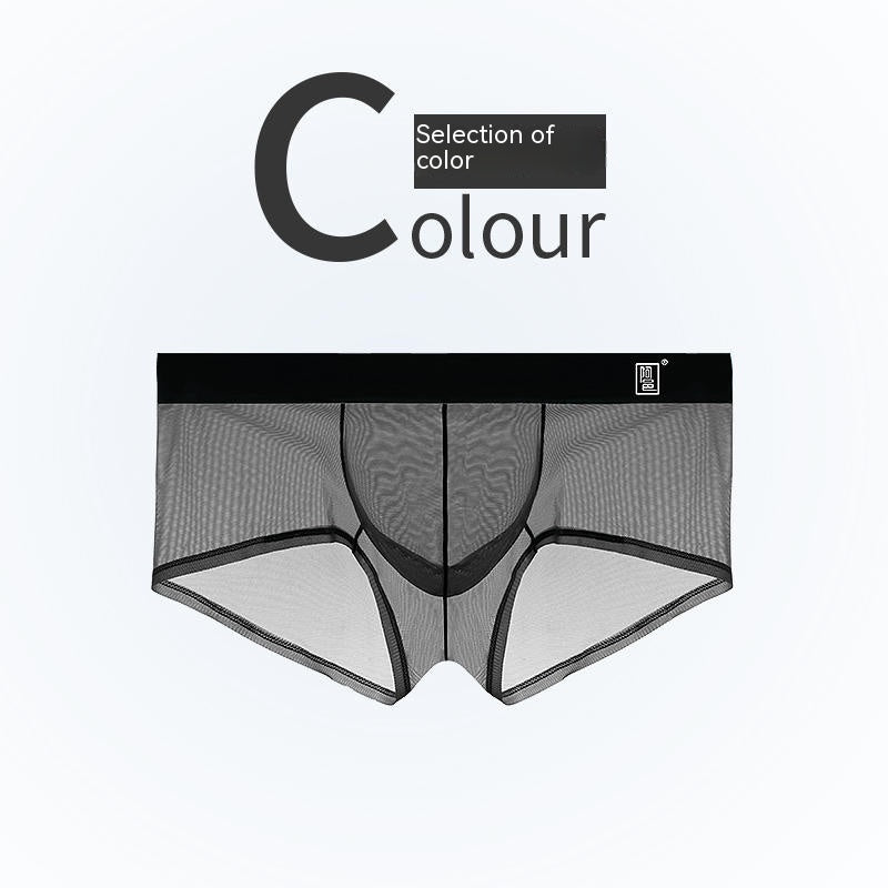 Short en soie mince en mesh pour hommes