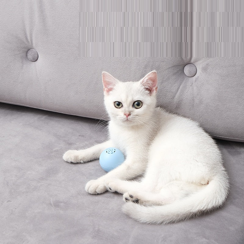 Self-Hi Pussy Cat Musique Balle Sons et Bites Jouets