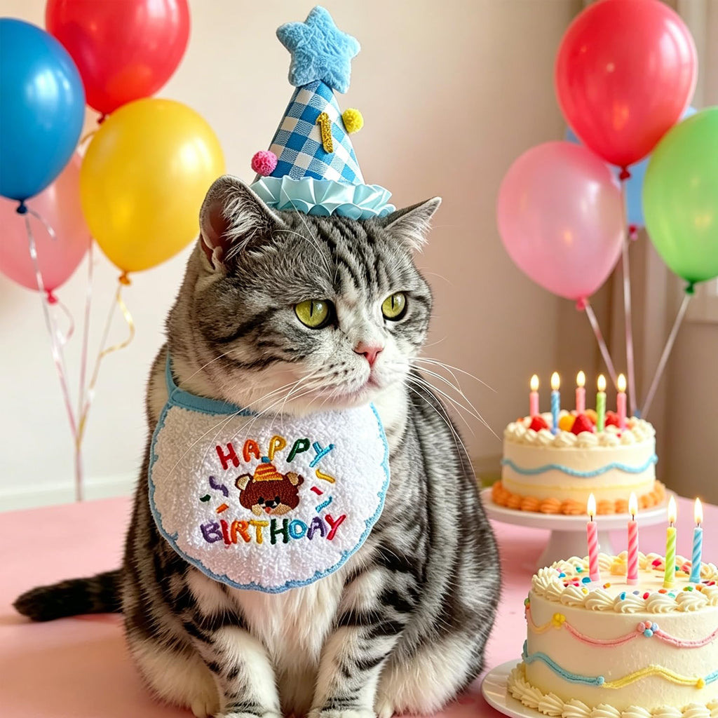 Fournitures pour fête d'anniversaire de chat