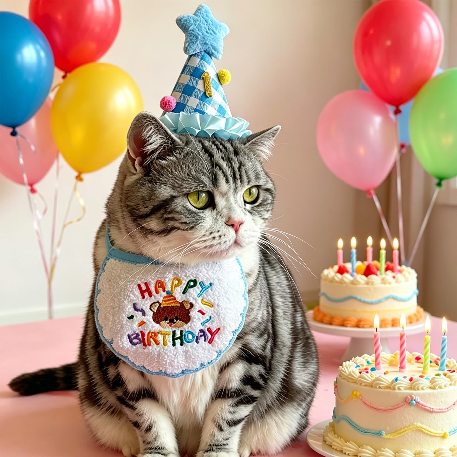 Fournitures pour fête d'anniversaire de chat
