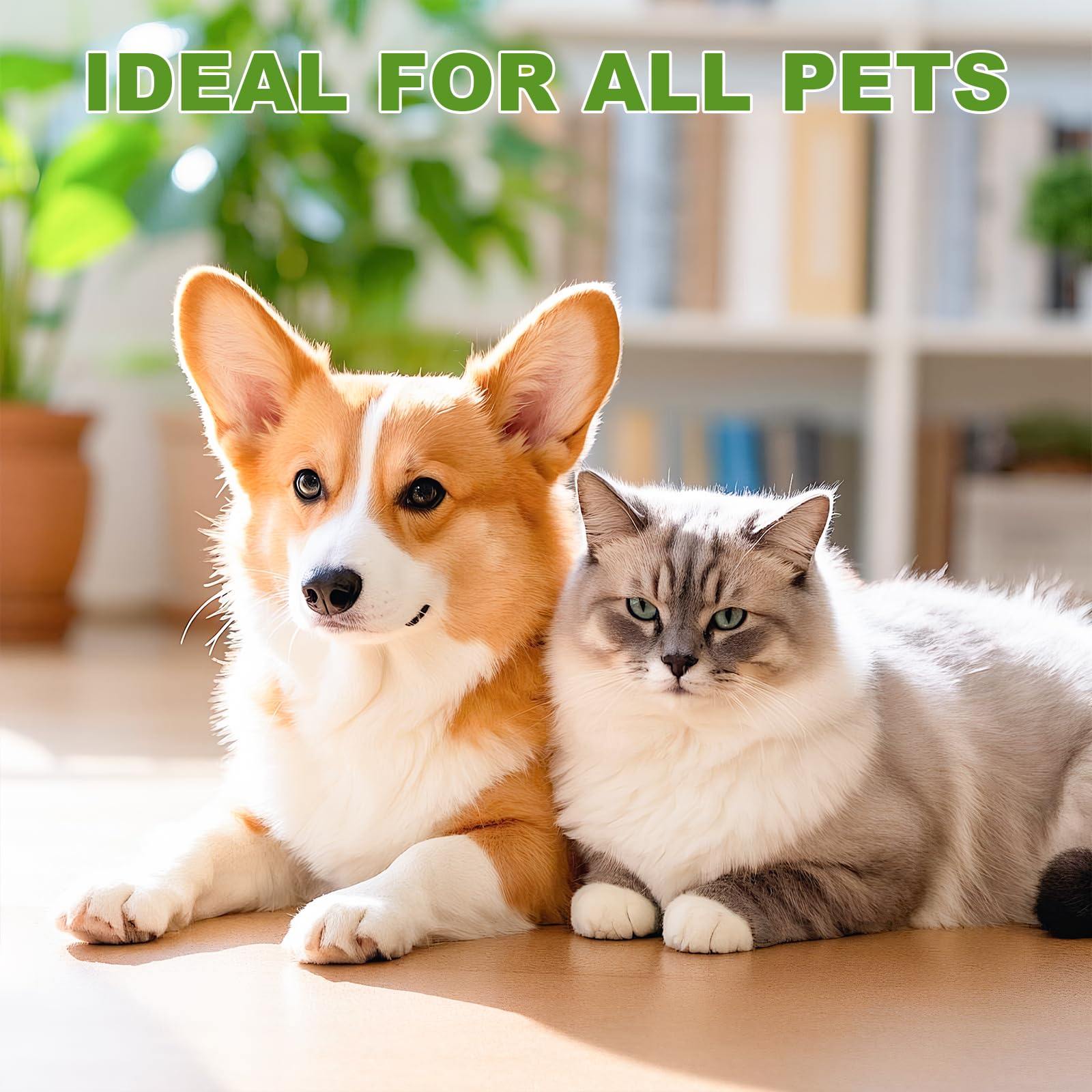 Peigne de dématage à double face pour chiens et chats