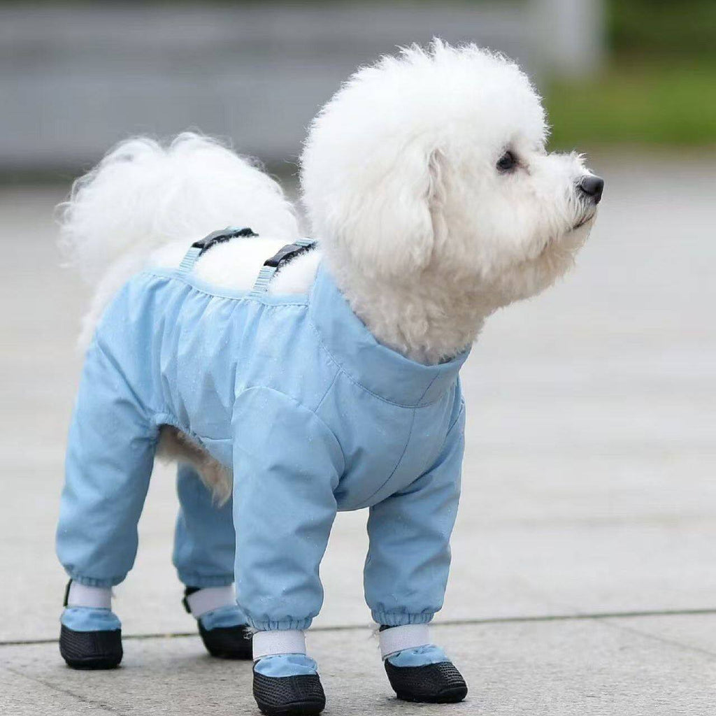 Pantalons anti-poussière pour chiens Et résistant à l'urine