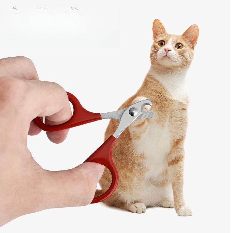 Pince à ongles pour animaux de compagnie Petite et moyenne taille