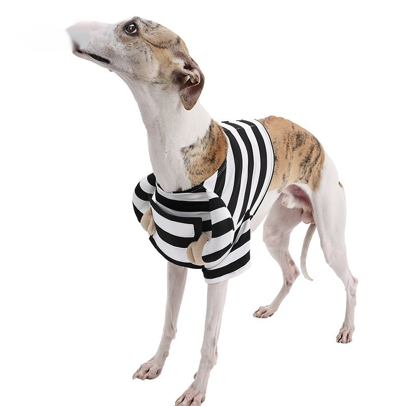 Chien Halloween costume de chien rayé vêtements drôles