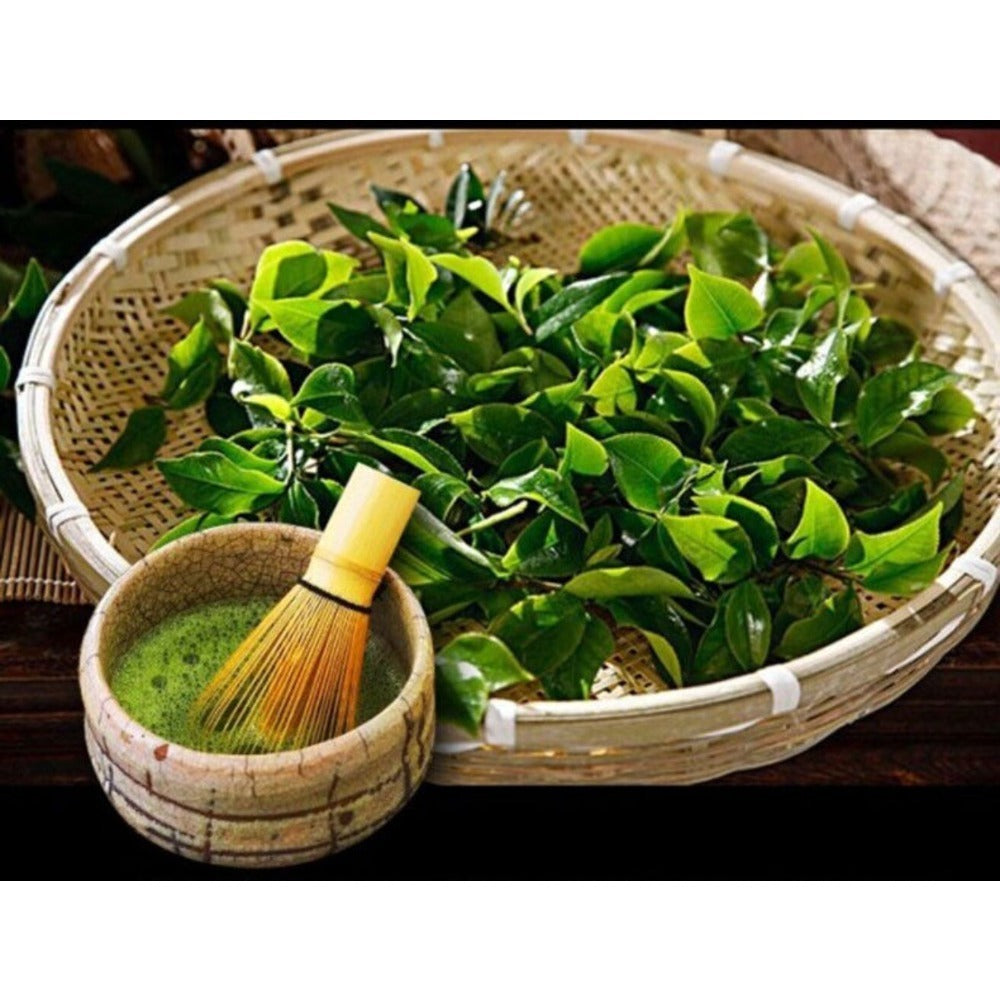 CIFbuy Japanese Ceremonial Matcha Powder 1 00g Thé vert biologique