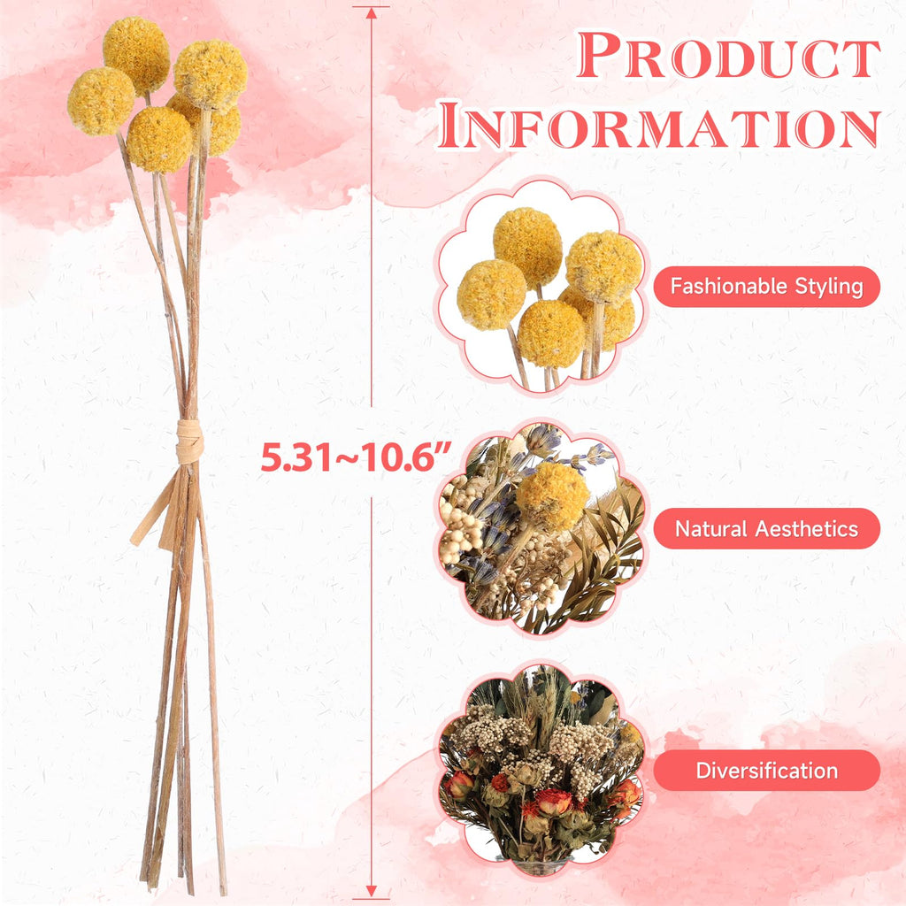 Ensemble de 160 fleurs séchées