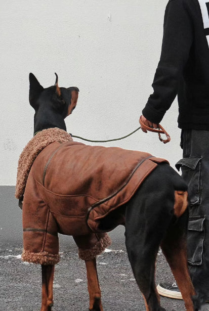 Manteau en cuir d'hiver Plus Velvet Pet pour grands chiens