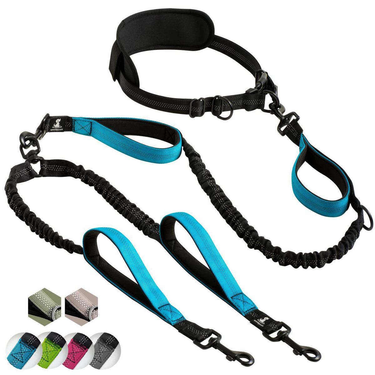 Amazon Pet Supplies Multifonctionnel Leash Sport Fitness Running Leash Dog Leas