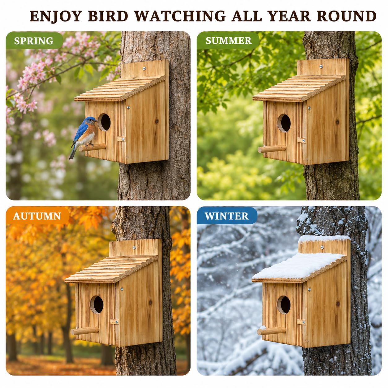 Maison d'oiseaux en bois pour l'extérieur