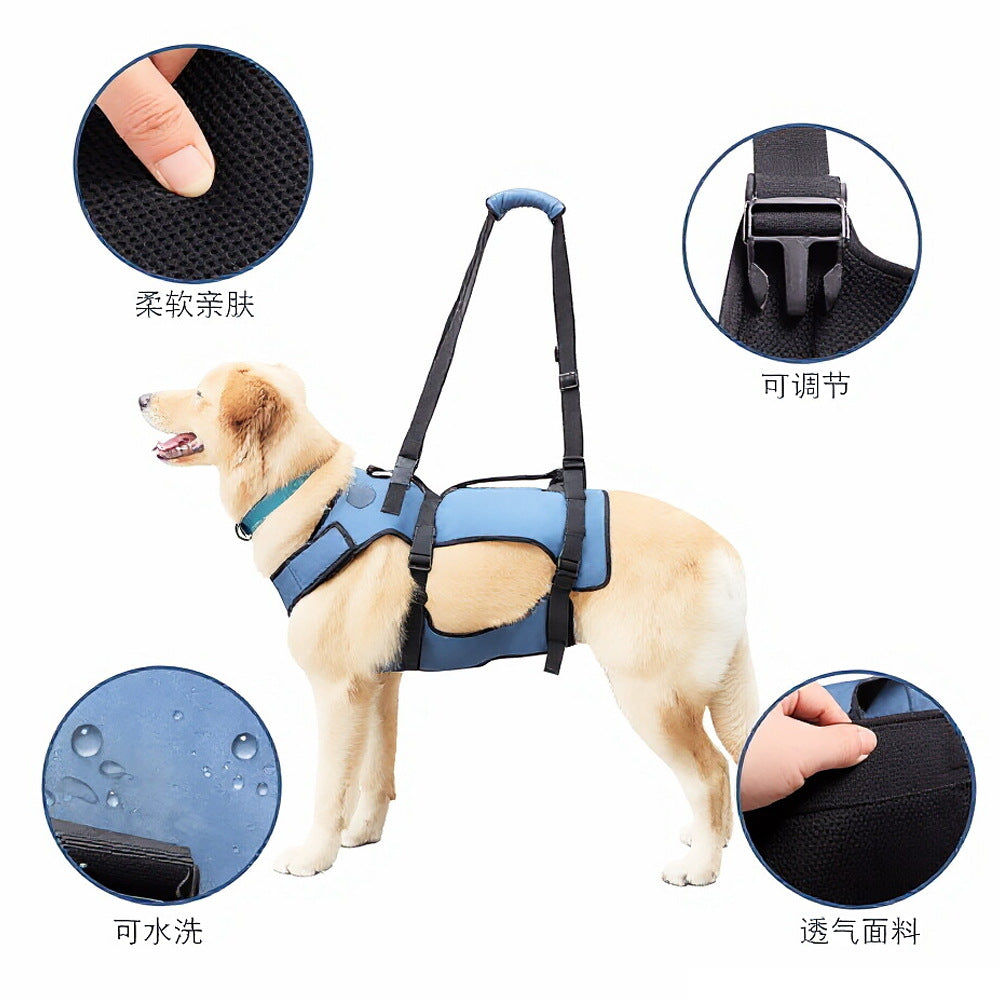 Assistance pour un chien avec jambes faibles