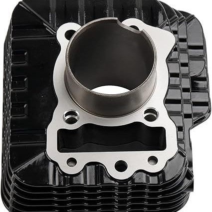 NS150 pièces de cylindre de moto sont compatibles avecPolaris