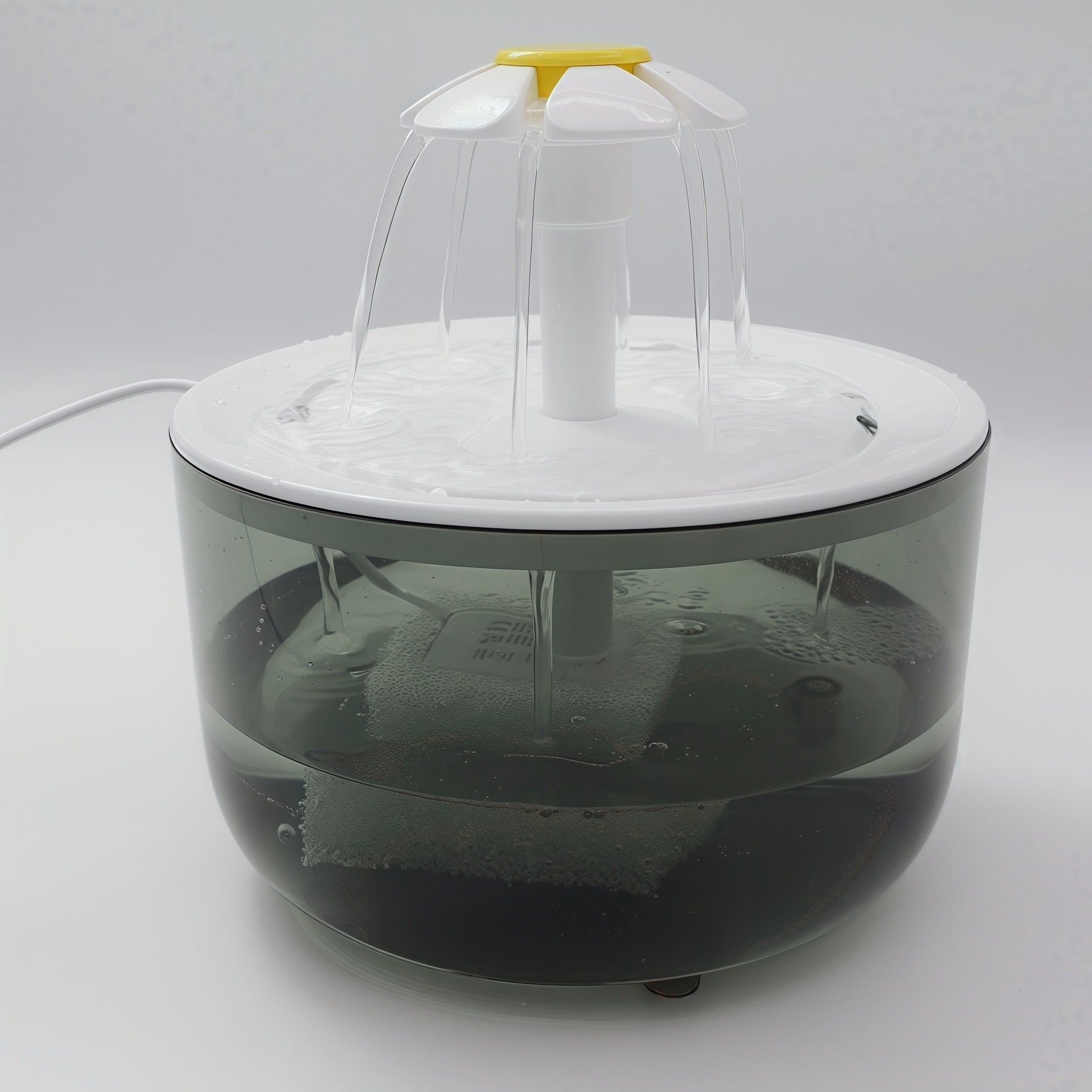 Fontaine d'eau pour animaux de compagnie filtrant automatique pour chats et chiens