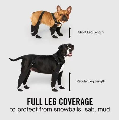 Pet Supplies Anti-Dirty Dog Shoelace Bande réfléchissante