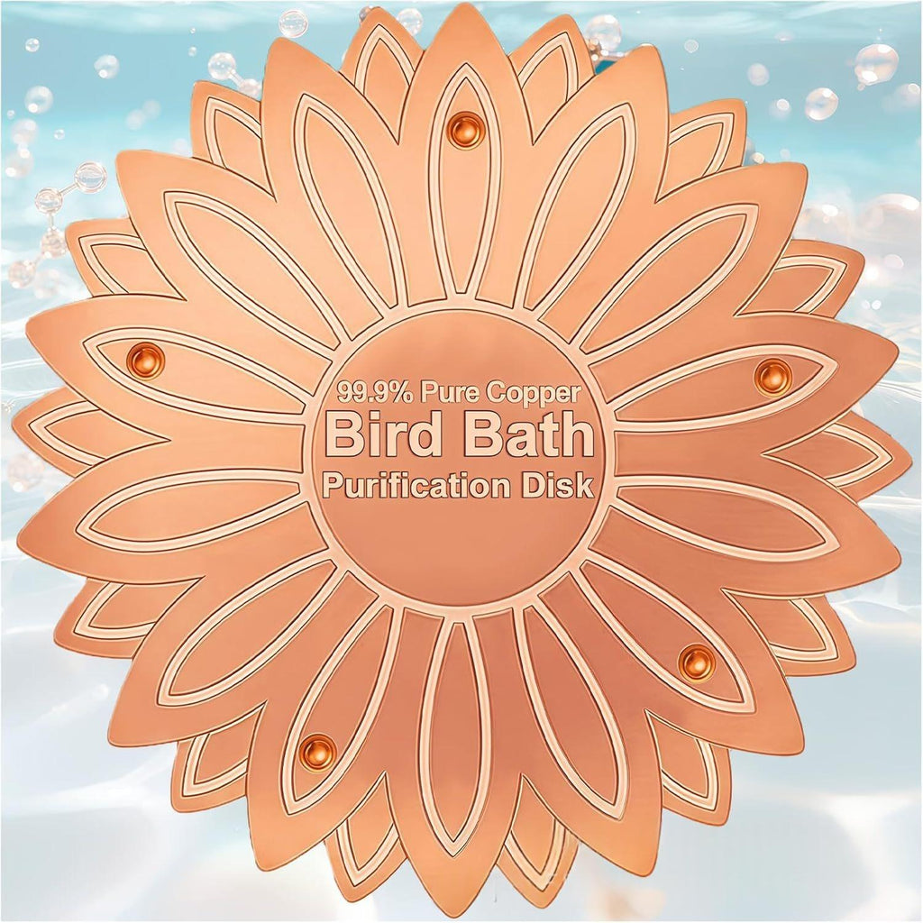 Nettoyeur de bain d'oiseaux