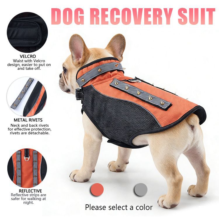 Amazon Pet Bite-Proof Suit Équipement de protection des chiens d'extérieur
