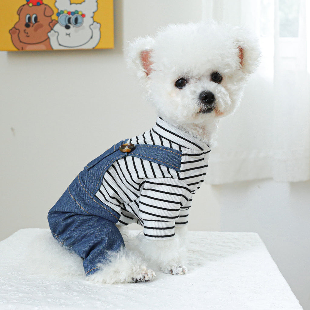 Vêtements pour chiens Ours mignons