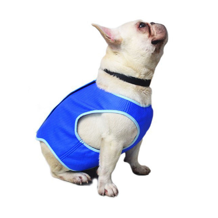 Veste de refroidissement d'été pour chien absorbant la sueur