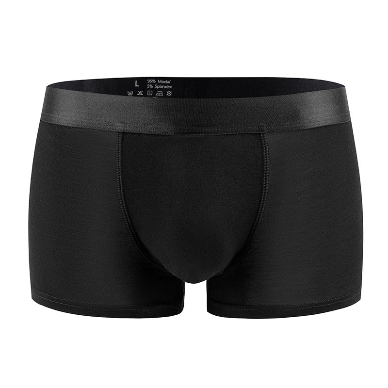 Standard Hommes Sous-vêtements sexy Modal Low-rise