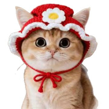 Année Chapeau de tournesol tricoté rouge pour chats