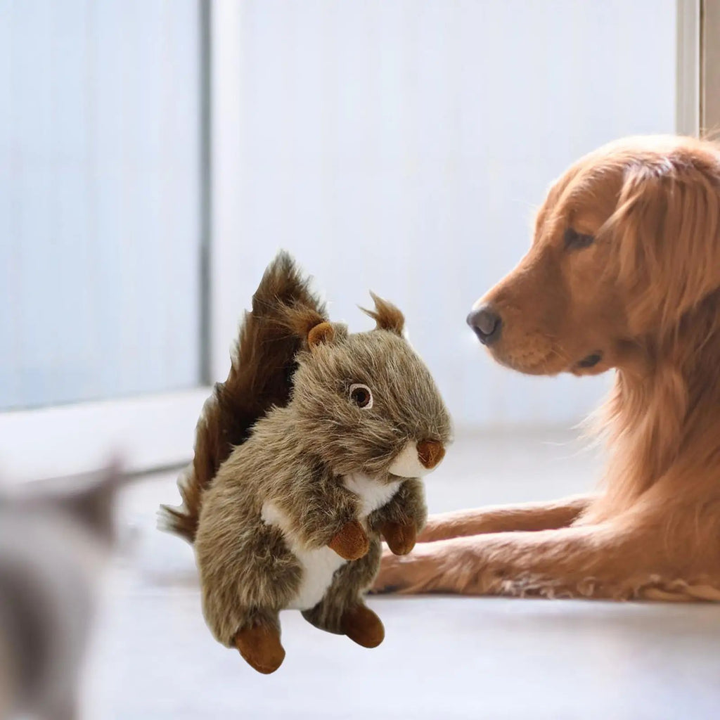 Jouet de chien Squeaky Jouet de chien Jouet de chien de biscuit Jouet de chien en peluche Jouet interactif de mèche pour
