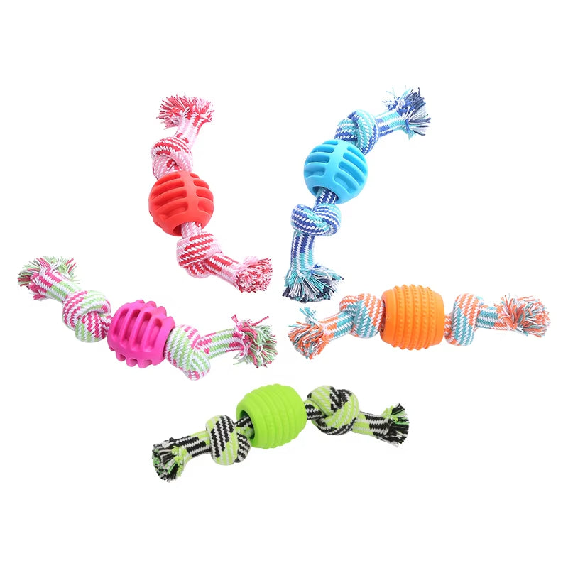 Jouet de chien de chien Corde de coton Double noeud boule résistant à la morsure de dents Toy de nettoyage de balle Pet Suppli