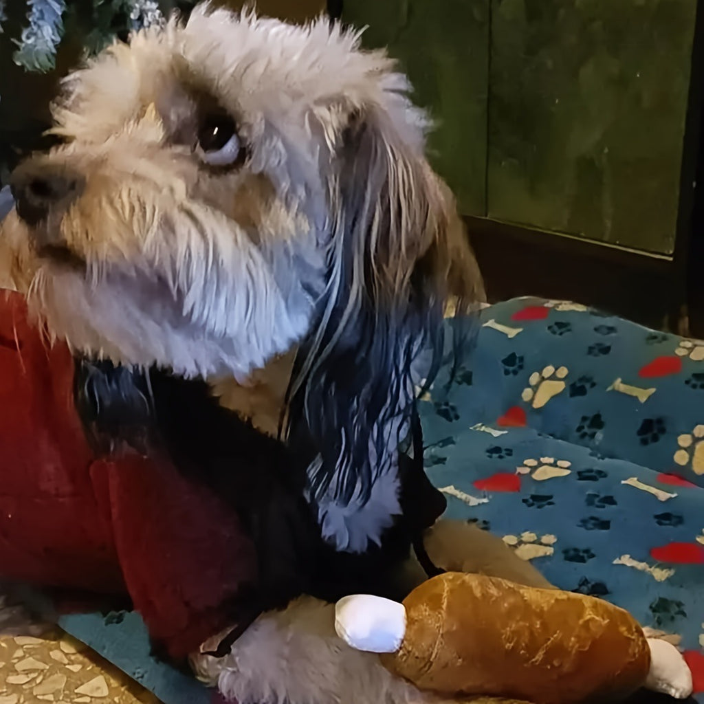 7 Piece Puppy Toy Set