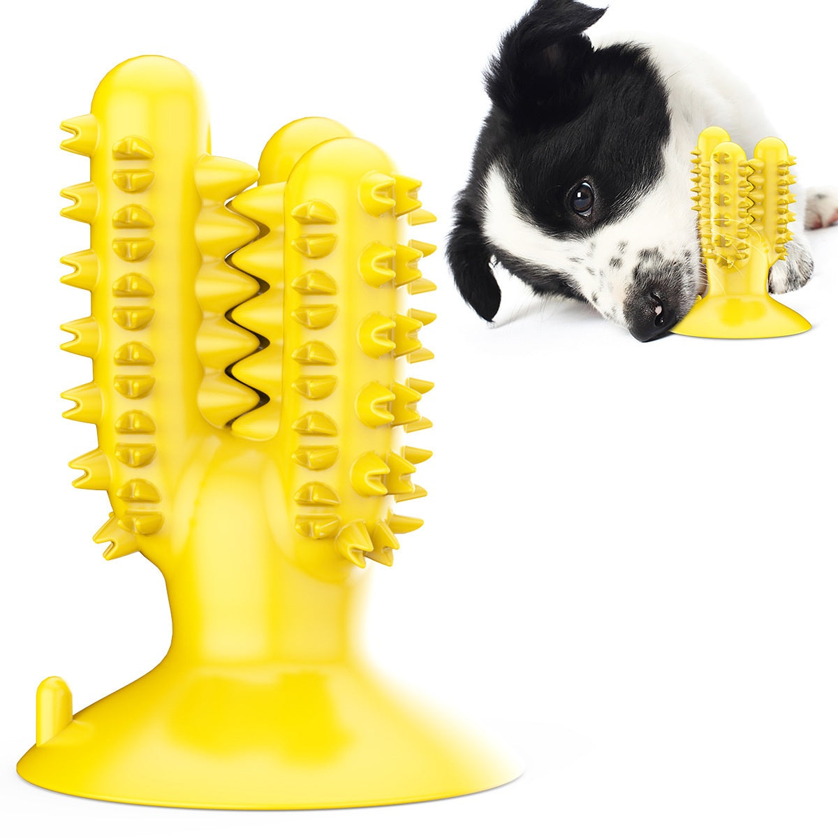 Nettoyage de dents Molar Rod Bone Corn Dog Toy