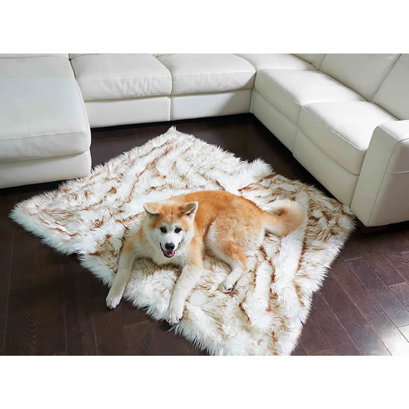 Lit de chien Machine lavable et imperméable Couch Bed