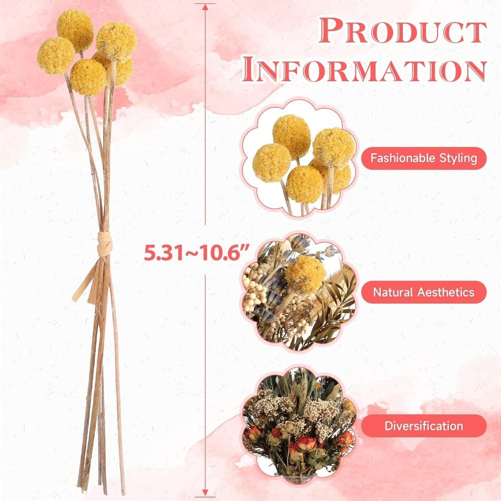 Set de bricolage de fleurs séchées de 160 pièces