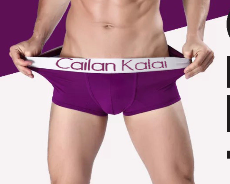 Sous-vêtements pour hommes Boxers Modal Breathable Boxer