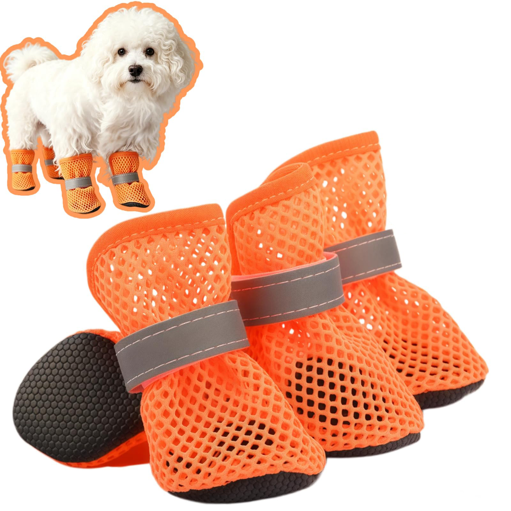 Little Dog Shoes for Pavement