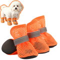 Little Dog Shoes for Pavement