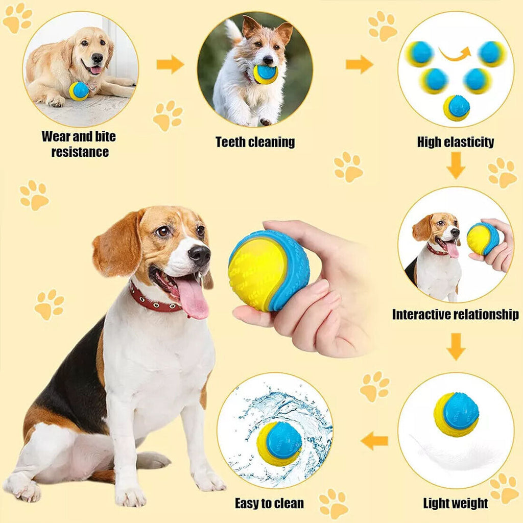 Scooby-Doo Squeaky durable Set de 8 boules de chien pour le nettoyage des dents Interactive UK