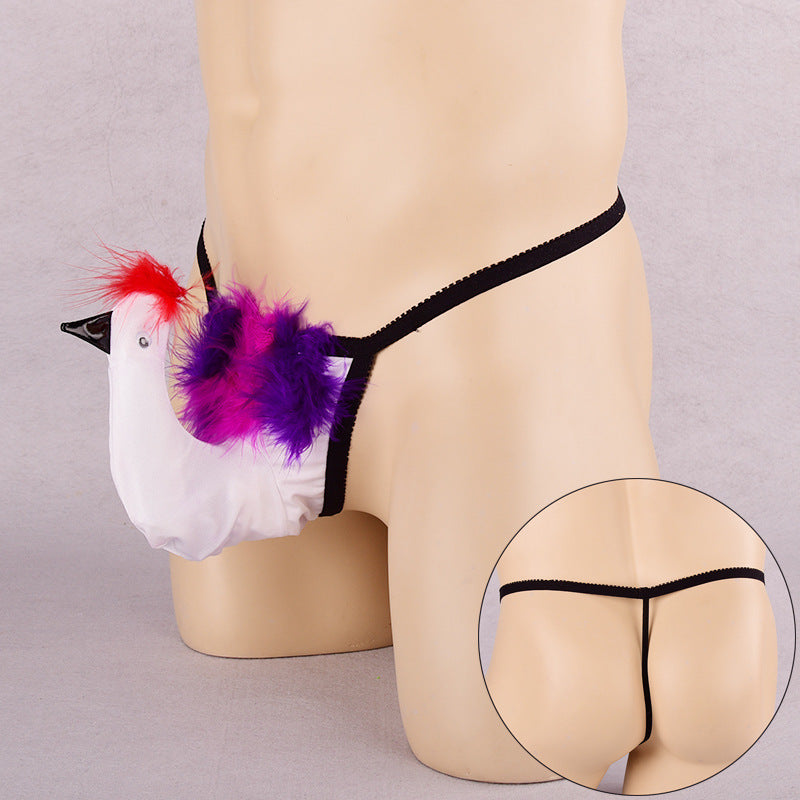 Pantalon de poulet en pénis pour hommes T-back