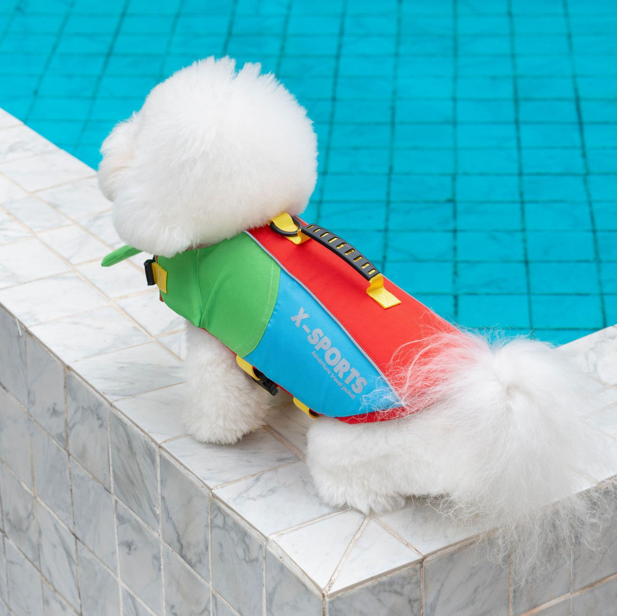 Veste de vie pour animaux Veste de vie pour chiens