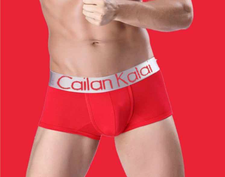 Sous-vêtements pour hommes Boxers Modal Breathable Boxer